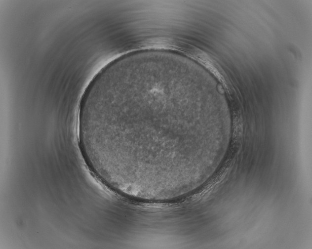 X0000111371132200908211312