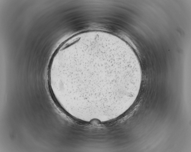 X0000111371133200908211312