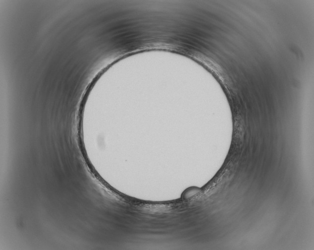 X0000111371135200908211312