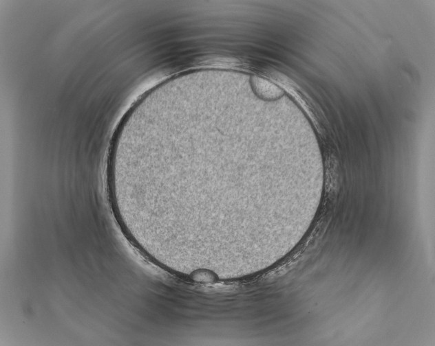 X0000111371139200908211312