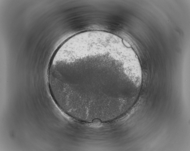 X0000111371141200908211312