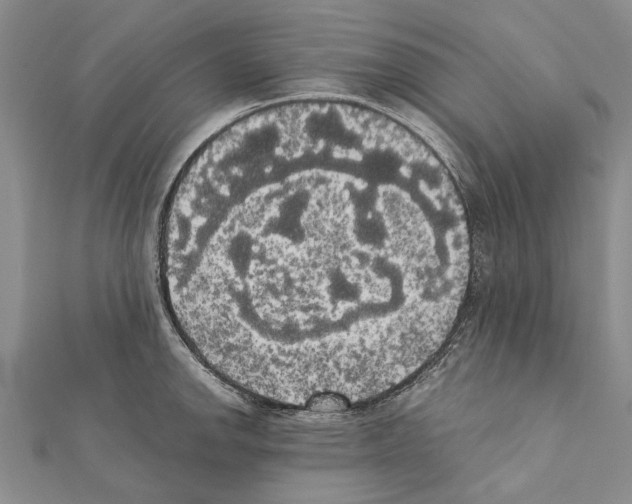 X0000111371142200908211312