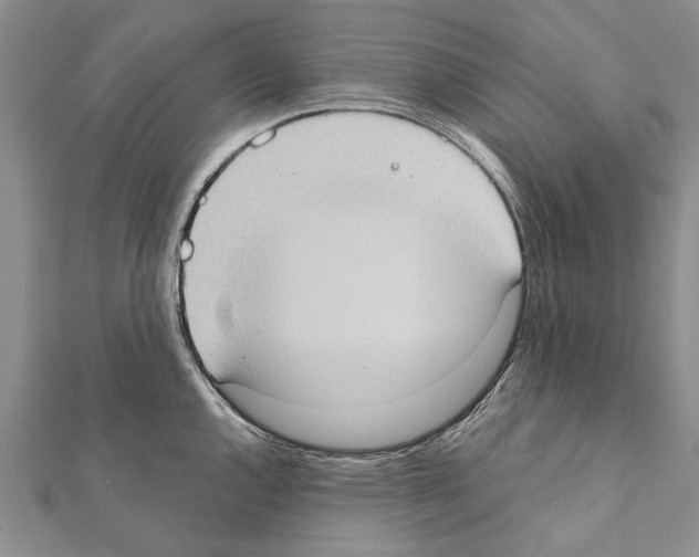 X0000111371144200908211313