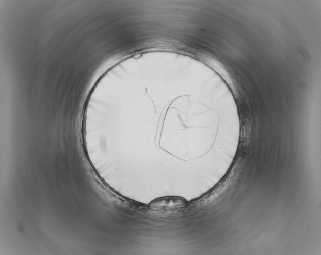 X0000111371146200908211313
