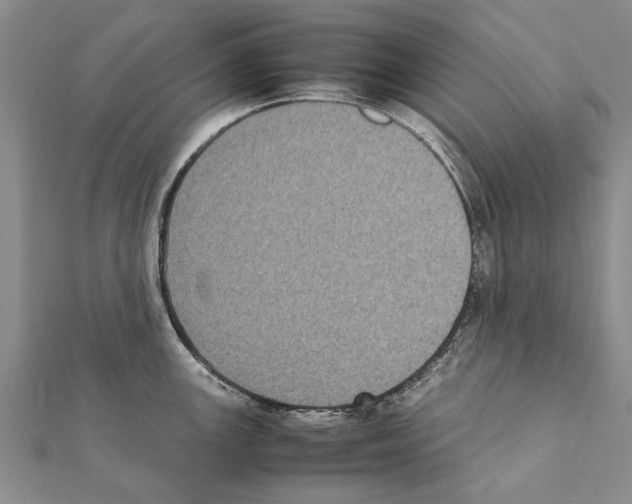 X0000111371147200908211313