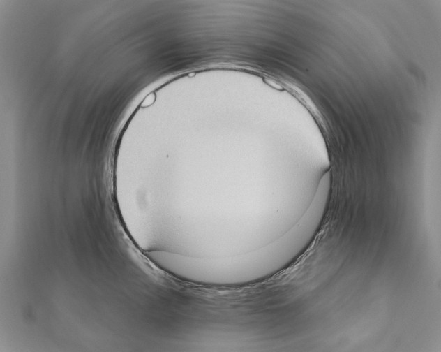 X0000111371148200908211313