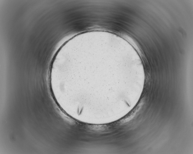 X0000111371149200908211313