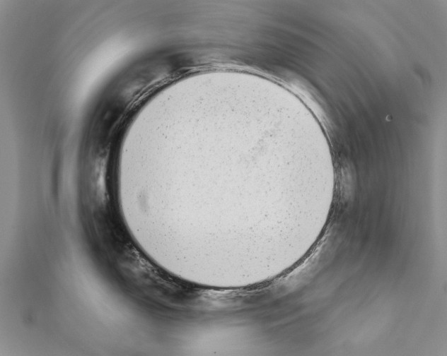 X0000111371150200908211313