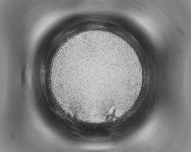 X0000111371151200908211313
