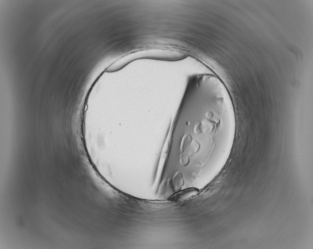 X0000111371152200908211313