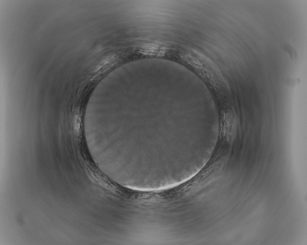 X0000111371154200908211312