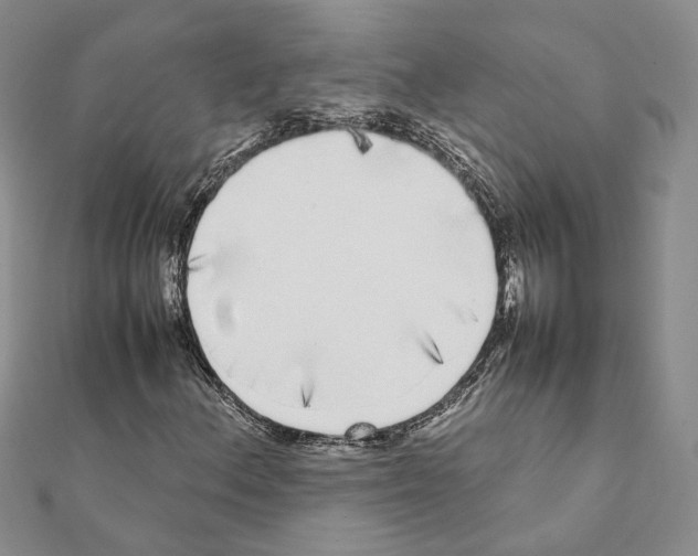 X0000111371156200908211312