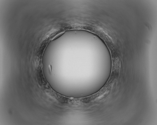 X0000111371157200908211312