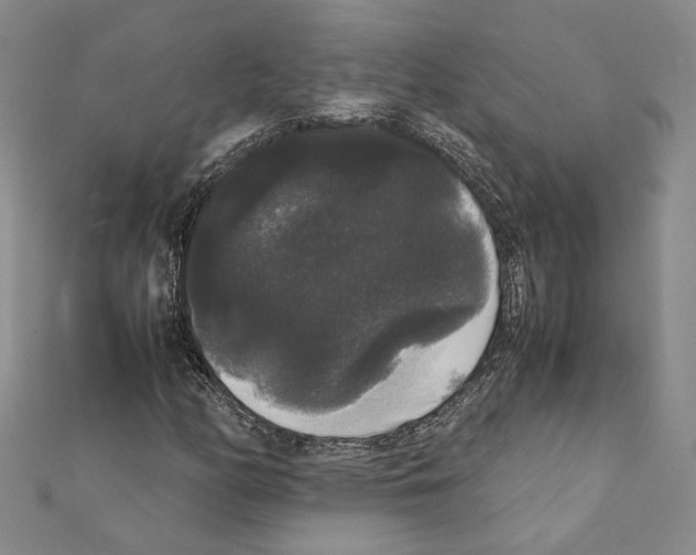 X0000111371158200908211312