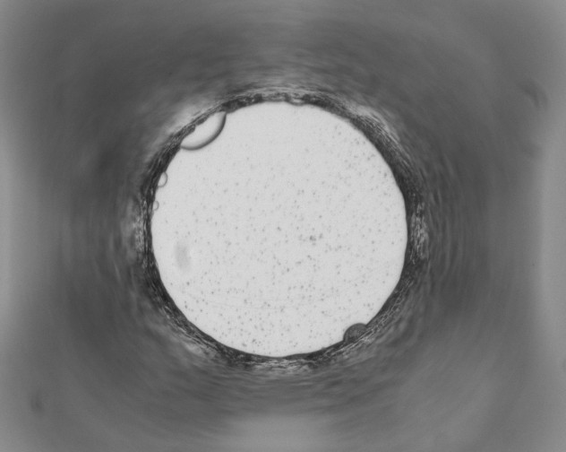 X0000111371159200908211312