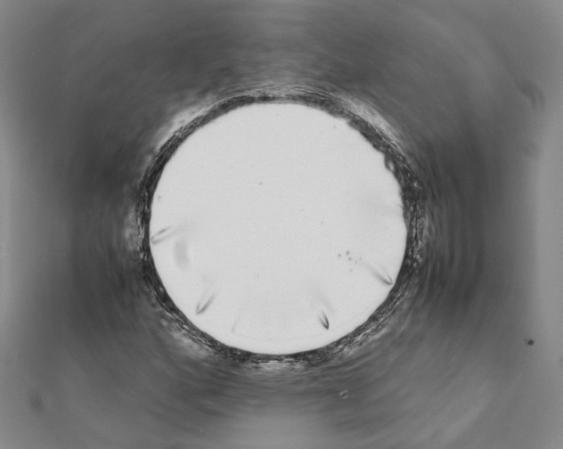 X0000111371160200908211312