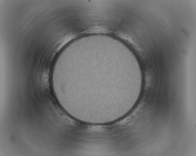 X0000111371162200908211312