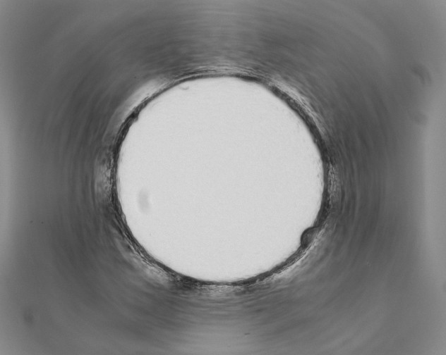 X0000111371163200908211312