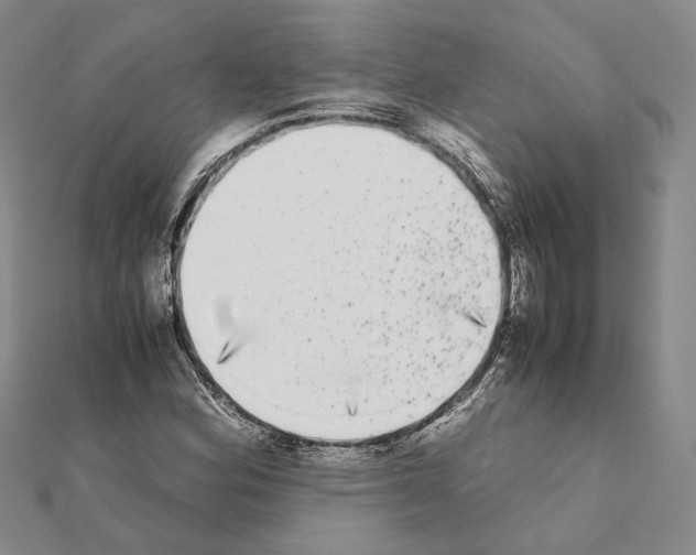 X0000111371164200908211312