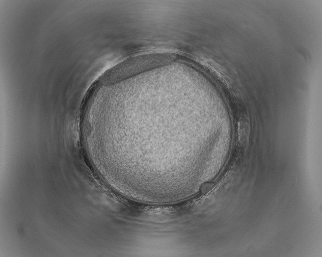 X0000111371165200908211312
