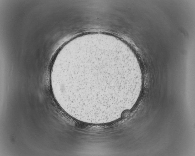 X0000111371167200908211312