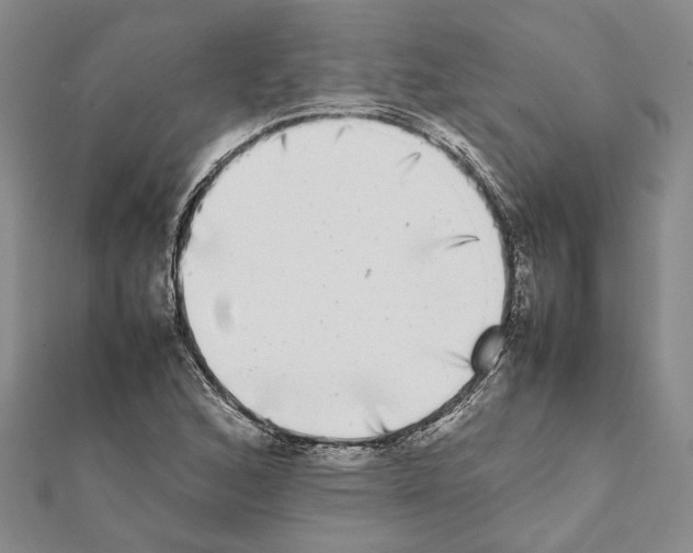 X0000111371168200908211312