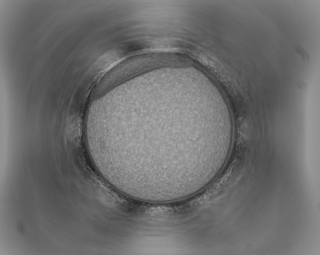 X0000111371169200908211312