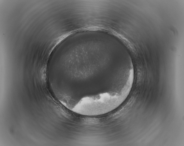 X0000111371170200908211312