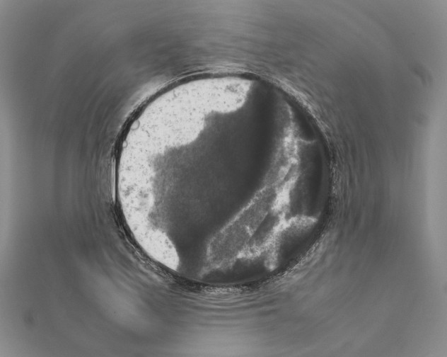 X0000111371171200908211312