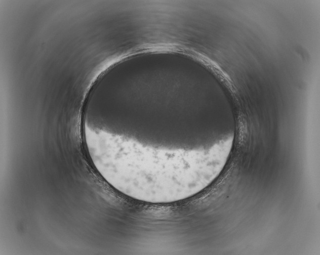 X0000111371174200908211312