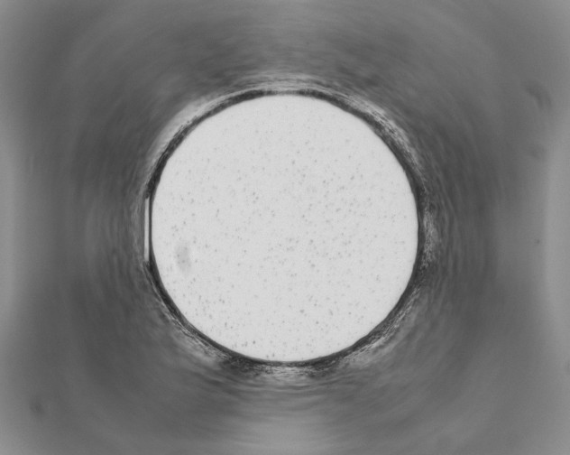 X0000111371175200908211312