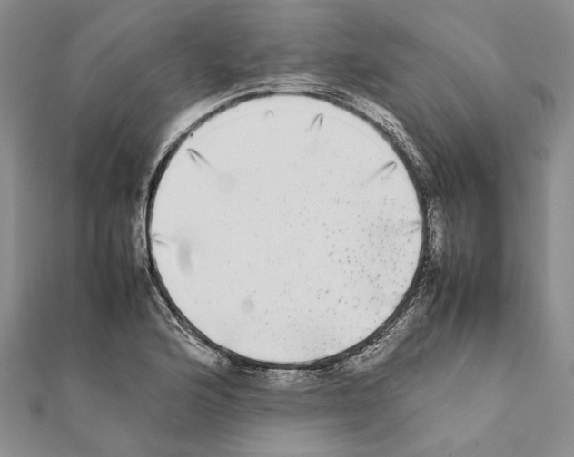 X0000111371176200908211312