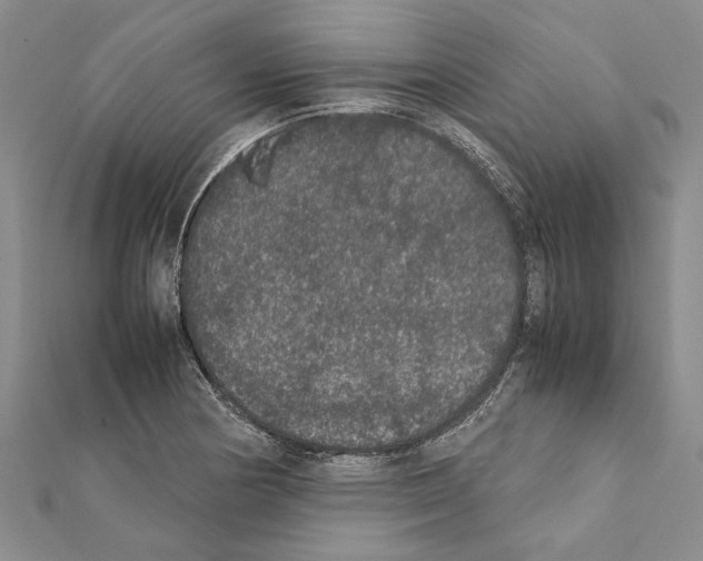 X0000111371178200908211311