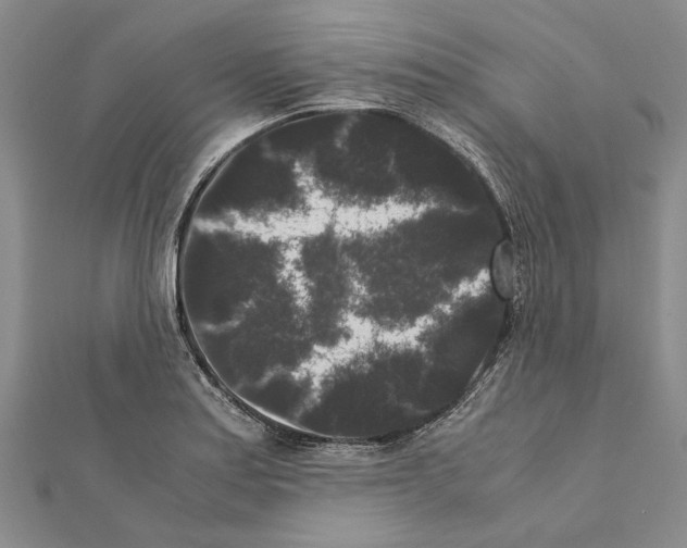 X0000111371179200908211311