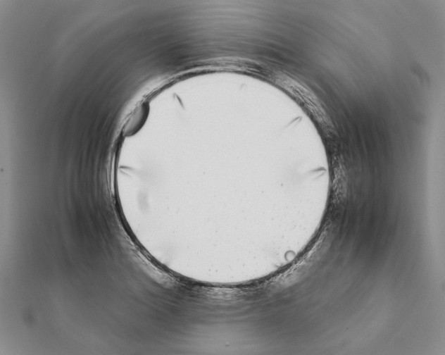 X0000111371180200908211311