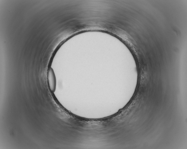 X0000111371181200908211311