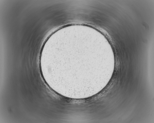 X0000111371183200908211311