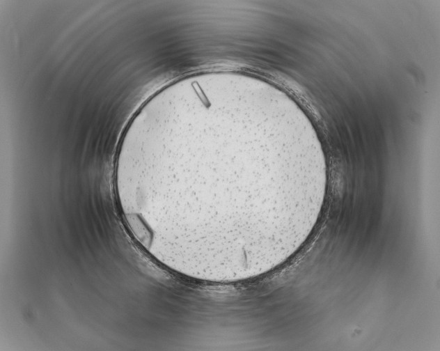X0000111371186200908211311