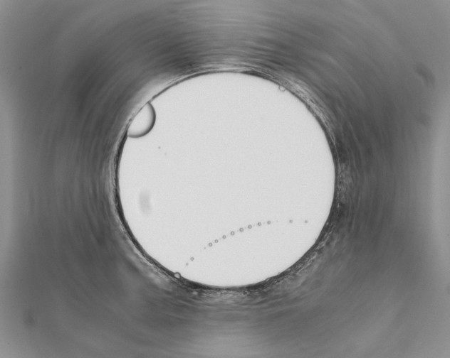 X0000111371187200908211311
