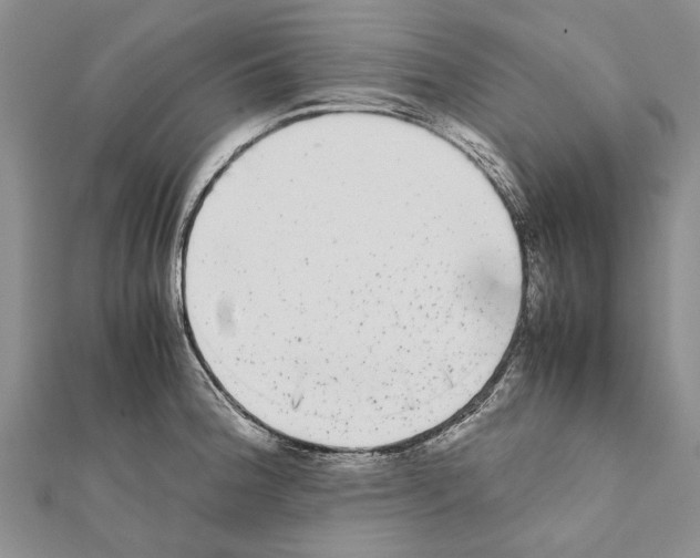 X0000111371188200908211311