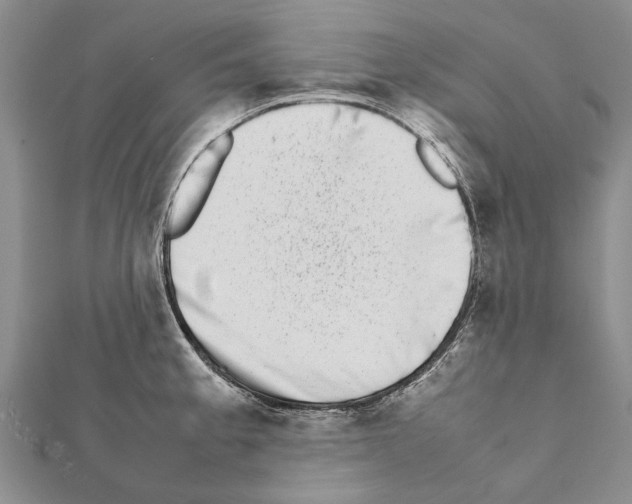 X0000111371189200908211311