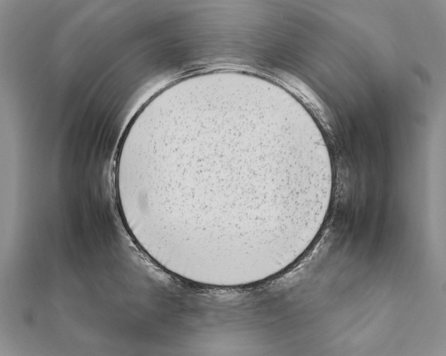 X0000111371190200908211311