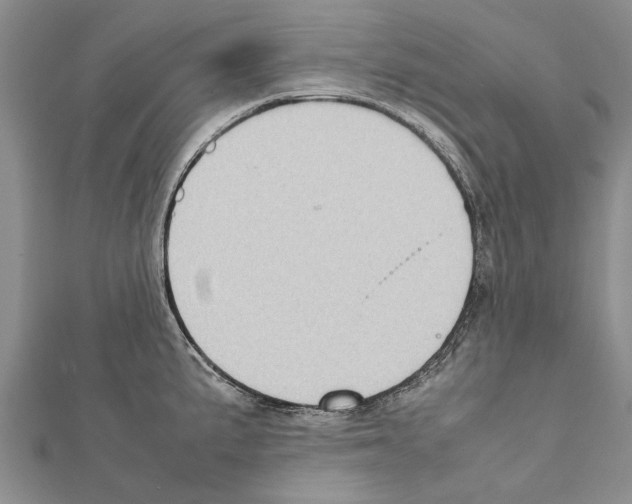 X0000111371191200908211311