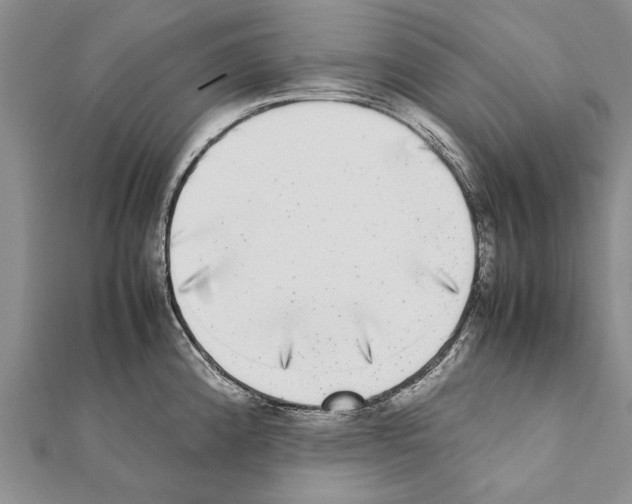 X0000111371192200908211311