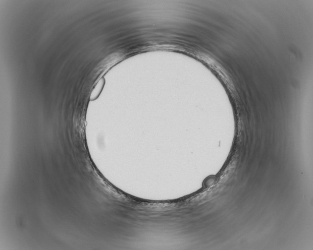 X0000111371193200908211311