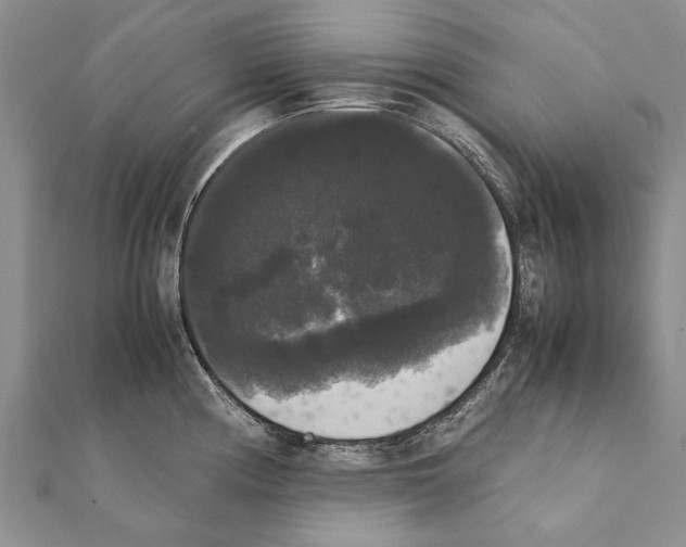 X0000111371194200908211311