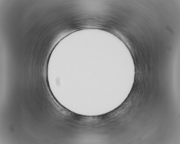 X0000111371195200908211311