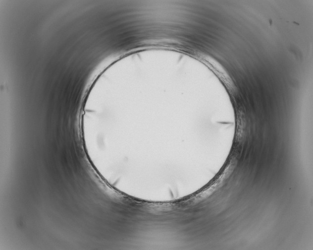 X0000111371196200908211311