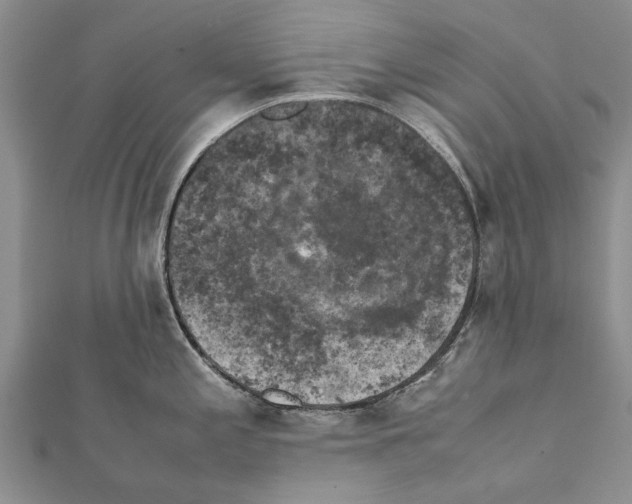 X0000111371197200908211311