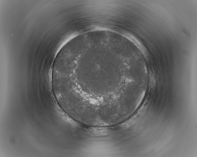 X0000111371198200908211311